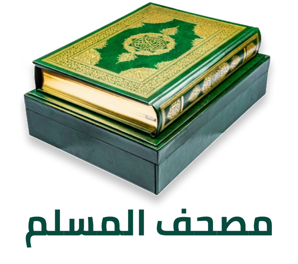 High High Project Logo